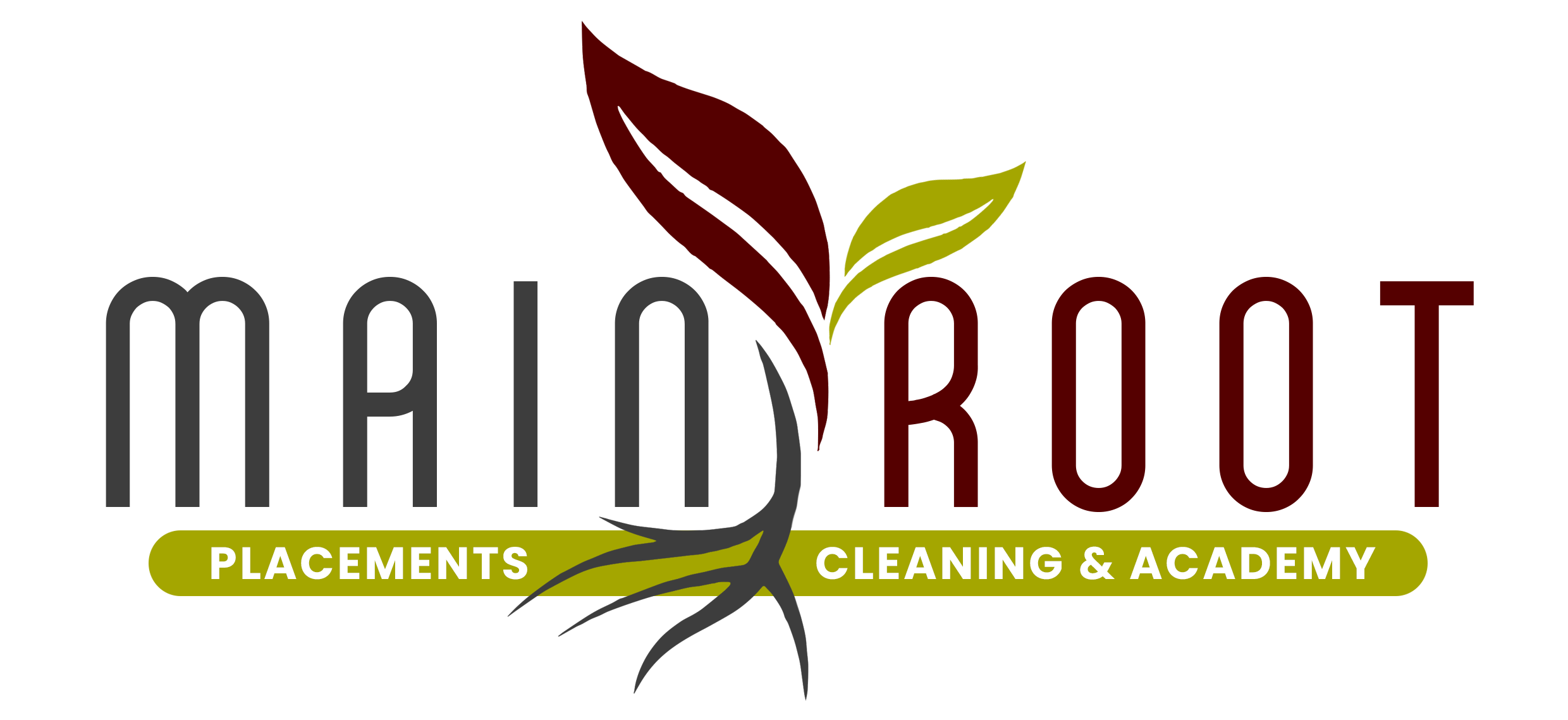 MAINROOT PLACEMENTS